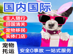 新郑机场空运国际宠物托运 【国